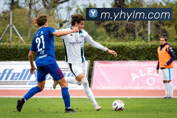 壹号娱乐发展历程